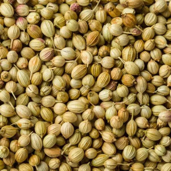 Coriander seeds